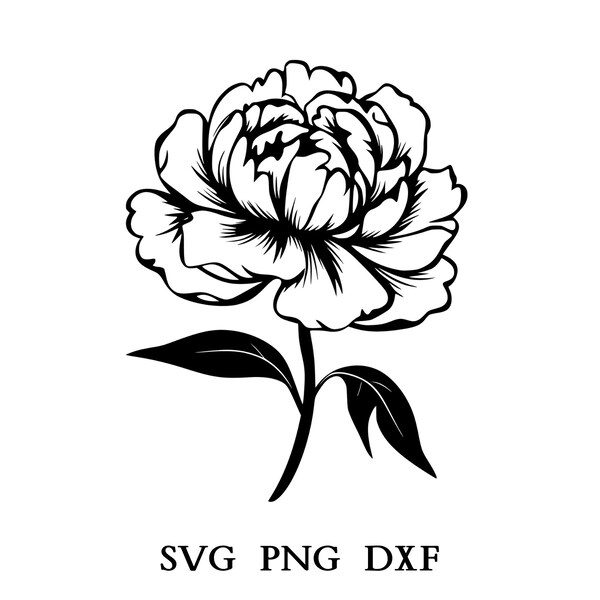 Peony Svg, Peony Png, Peony Clipart, Flower Svg, Flower Png