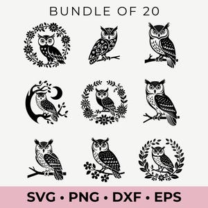 Eulen-Svg-Bundle, Eule Clipart, Eule Png, Eulenkopf, Eule Schnittdateien für Cricut, Eulensilhouette, Vogelsilhouette