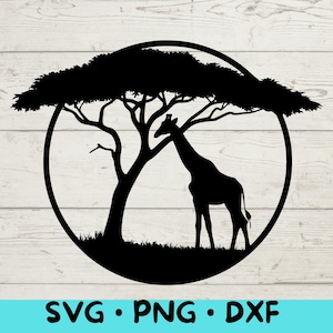 Giraffa sotto l'albero SVG Silhouette, scena di fauna selvatica safari, vettore della natura africana per Cricut e taglio laser, download digitale