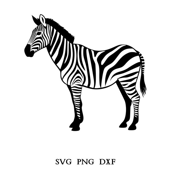 Zebra Svg, Zebra Clipart, Zebra Png, Zebra Head, Zebra Cut Files For Cricut , Zebra Silhouette, Animals Silhouette