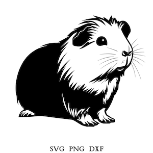 Guinea pig Svg, Guinea pig Clipart, Guinea pig Png, Guinea pig Head, Guinea pig Cut Files For Cricut , Animals Silhouette