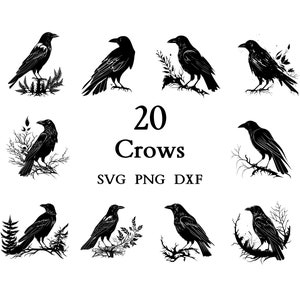Crow Svg, Crow Bundle, Crow clipart, Crow png,  Crow Cut Files for Cricut,  Cute Crow, Baby Crow, Svg Bundle