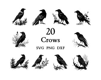 Crow Svg, Crow Bundle, Crow clipart, Crow png,  Crow Cut Files for Cricut,  Cute Crow, Baby Crow, Svg Bundle