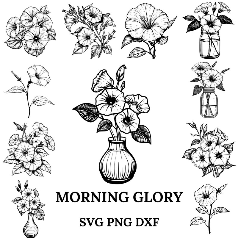 Morning Glory Print - Etsy