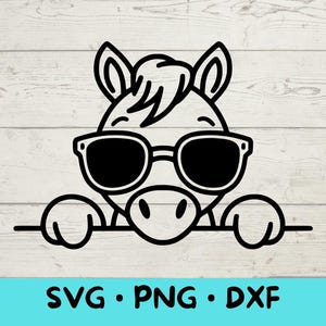 Pferd mit Sonnenbrille spähen, Pferd Clipart, Pferd Png, Pferdekopf, Pferd mit Sonnenbrille spähen, Tiere mit Sonnenbrille