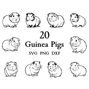 Guinea Pig Svg Bundle , Guinea Pig Svg , Cut Files for Cricut And Laser Engraving , 20 Svg, Png, and Dxf Files Combined in One Bundle!