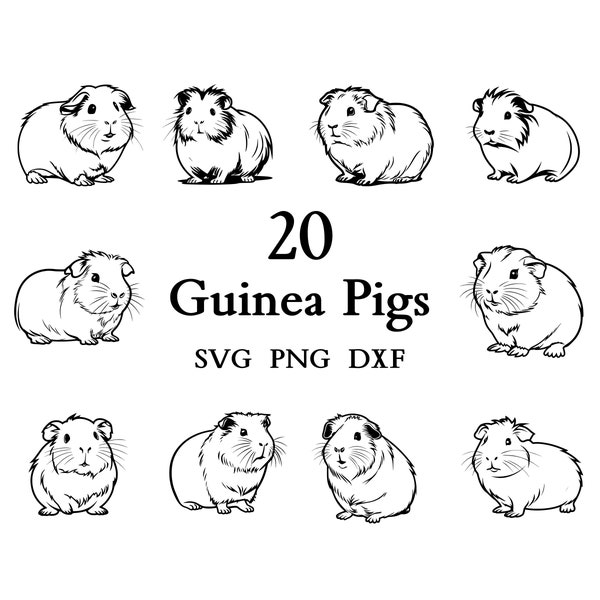 Guinea Pig Svg Bundle , Guinea Pig Svg , Cut Files for Cricut And Laser Engraving , 20 Svg, Png, and Dxf Files Combined in One Bundle!