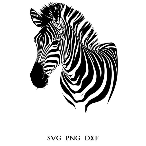 Zebra Svg, Zebra Clipart, Zebra Png, Zebra Head, Zebra Cut Files For Cricut , Zebra Silhouette, Animals Silhouette