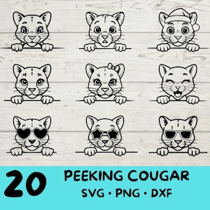Cougar furtivement, Cougar Svg, Bundle Cougar Svg, Cougar mignon avec | Lunettes de soleil| Arc | Fleur| Noël | Chapeau