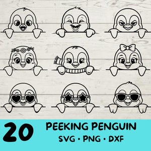 Pingüino que mira fijamente, pingüino Svg, paquete de pingüinos Svg, lindo pingüino con / gafas de sol / lazo / flor / Navidad / sombrero
