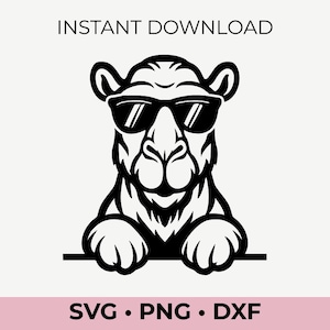 Cammello che fa capolino SVG – Clipart di un cammello con occhiali da sole per Cricut e Silhouette, file di taglio di un divertente animale del deserto, svg png dxf