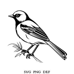 Bird Svg, Bird Clipart, Bird Png, Bird Head, Bird Cut Files For Cricut , Bird Silhouette, Baby Animals