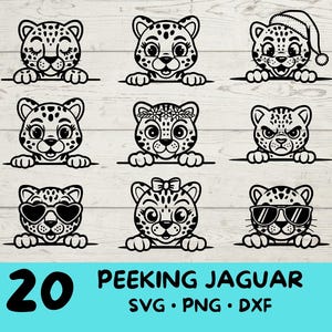 Gluren Jaguar, Jaguar Svg, Jaguar Svg-bundel, schattige Jaguar met | Zonnebril| Boog | Bloem| Kerstmis | Hoed