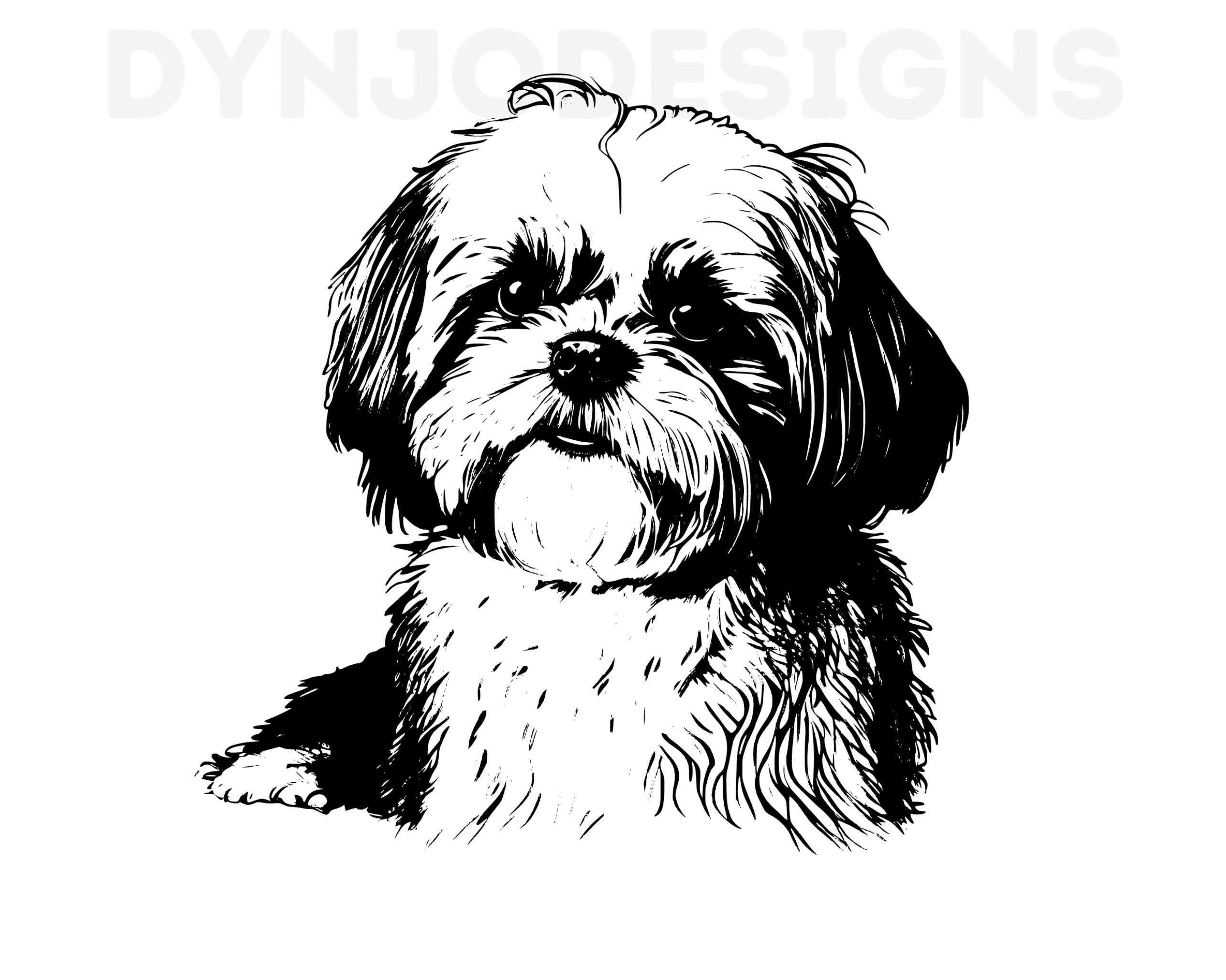 Shih Tzu Down Syndrome: The Unexpected Joy - yhibgzy