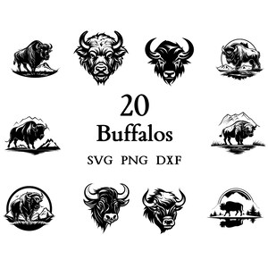 Buffalo Svg, Buffalo Bundle, Buffalo clipart, Buffalo png,  Buffalo Cut Files for Cricut,  Cute Buffalo, Baby Buffalo, Svg Bundle