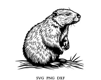 Beaver Svg, Beaver Png, Beaver Clipart, Animal Designs