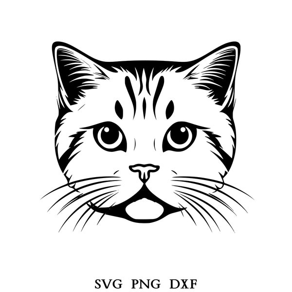 British Shorthair Cat Head Svg , Cat Svg , Cut Files for Cricut And Laser Engraving , 1 Svg, Png, and Dxf File
