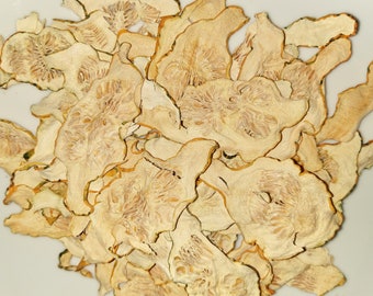 Dried Patty Pan Squash Chips, 100% Eco Natural Vegetable Organic | Dried decorating dehydrated vegetables | vegan zucchini