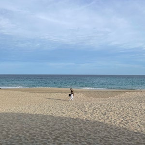Cabo San Lucas Beach Landscape