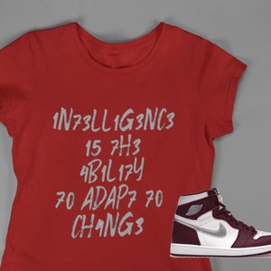 May include: Red t-shirt with the text "INTELLIGENCE IS THE ABILITY TO ADAPT TO CHANGE" in silver lettering. A pair of burgundy and white sneakers with a silver swoosh.