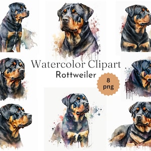 Watercolor Rottweiler Clipart Bundle - 8 High Quality Digital Paintings - 300 DPI - Instant Download - Wall Art Digital Crafts