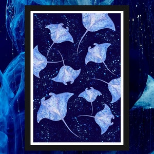 Op de afbeelding: Een ingelijst drukwerk met een donkerblauwe achtergrond en een patroon van witte en blauwe roggen. De roggen zijn willekeurig gerangschikt en lijken te zwemmen in een sterrenhemel.