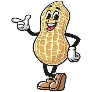 Peanut cartoon mascot illustration design character vector hand drawn Clip art