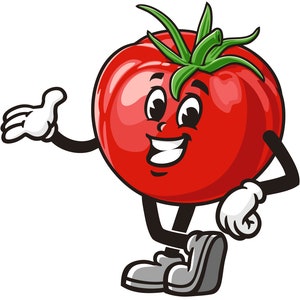 Tomato cartoon mascot illustration design character vector