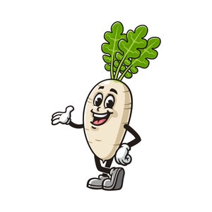 White Radish Cartoon Mascot Illustration Character Vector Clip-art Hand-drawn Logo Design