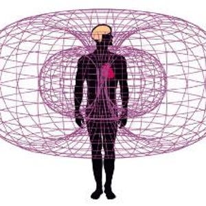 May include: A graphic illustration of a human silhouette with a brain and heart highlighted. The figure is surrounded by a purple, three-dimensional torus field, suggesting energy or aura. The image is set against a white background.