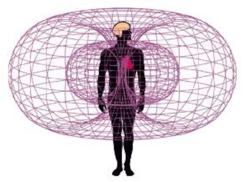 May include: A graphic illustration of a human silhouette with a brain and heart highlighted. The figure is surrounded by a purple, three-dimensional torus field, suggesting energy or aura. The image is set against a white background.