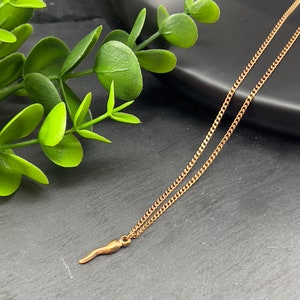 May include: A gold chain necklace with a small, gold, pepper-shaped pendant. The necklace is on a black surface with green leaves.