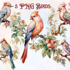 Pacote de clipart de pássaros florais em aquarela PNG Download digital instantâneo Clipart vintage de floresta Arte de parede para impressão Diário de sucata Álbum de recortes Artesanato