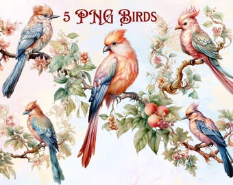 Watercolor Floral Birds Clipart Bundle PNG Instant Digital Download Woodland Vintage Clipart Printable Wall Art Junk Journal Scrapbook Craft