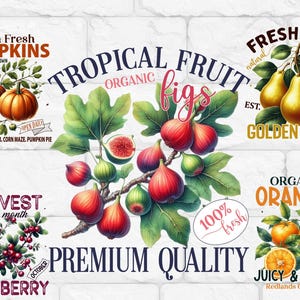 FRUIT PNG Clipart Bundle Sublimation Instant Download, VINTAGE Digital Download, Paper-craft Junk Journal Transparent Background