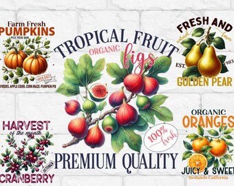 FRUIT PNG Clipart Bundle Sublimation Instant Download, VINTAGE Digital Download, Paper-craft Junk Journal Transparent Background