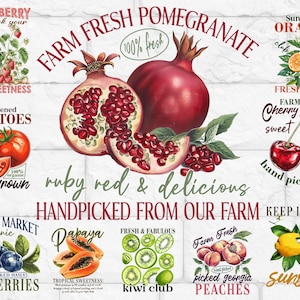 FRUIT PNG Clipart bundel sublimatie Instant Download, VINTAGE digitale download, Paper-Craft Junk Journal transparante achtergrond
