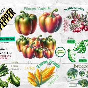 VEGETABLE PNG Clipart Bundle Sublimation Vintage FARM Instant Download, Digital Download, Paper-Craft Junk Journal, Transparent Background