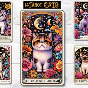 Puede incluir: Un conjunto de 14 cartas de tarot con diferentes razas de gatos. Cada carta tiene un fondo colorido con flores y estrellas. Las cartas están tituladas con la raza del gato, como "The Scottish Fold" y "The Exotic Shorthair".