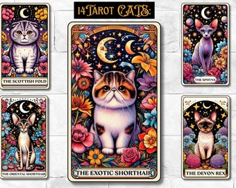 Paquete de impresión de tarot de gato, baraja de tarot, cartas de tarot, linda carta de tarot de gatito, raza de gato, tarjeta de tarot de gato, linda sublimación de gato, descarga digital, impresión