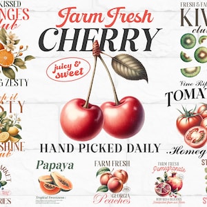 FRUIT PNG clipart bundel sublimatie vintage fruit Instant Download, digitale download, Paper-craft junk Journal transparante achtergrond