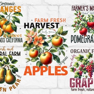 FRUIT PNG clipart bundel sublimatie vintage fruit Instant Download, digitale download, Paper-craft junk Journal transparante achtergrond