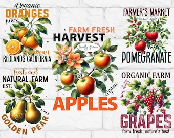 FRUIT PNG Clipart Bundle Sublimation Vintage Fruit Instant Download, Digital Download, Paper-craft Junk Journal Transparent background