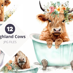 Vache Highland dans une baignoire, lot de 12 aquarelles ferme bébé veau Highland dans une baignoire sur pattes Clip Art, art mural numérique, décoration de chambre de bébé, baby shower