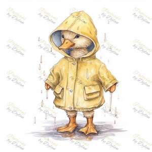 Baby Ducklings in Rain Gear Hand Drawn Illustrations Bundle, Set of 12 ...