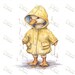 Baby Ducklings in Rain Gear Hand Drawn Illustrations Bundle, Set of 12 ...