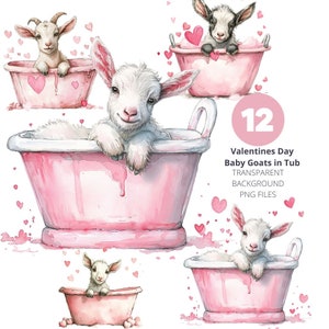 Pacchetto di illustrazioni disegnate a mano di caprette di San Valentino in vasca da bagno rosa, set di 12 clip art PNG con sfondo trasparente per uso commerciale
