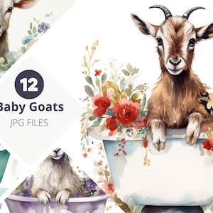 Koźlę w wannie, zestaw 12 akwarelowych uroczych koźląt w wannie na nóżkach Clip Art, cyfrowa sztuka ścienna, wystrój pokoju dziecięcego, baby shower
