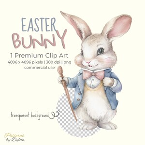 Easter Bunny Premium Clip Art, Cute Baby Rabbit, Nursery Decor, Baby Shower, Watercolor PNG With Transparent Background for Commercial Use