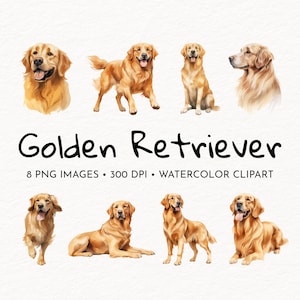 Golden Retriever Hund | Aquarell Clipart | Hund PNG | Tier Illustration | Kommerzielle Nutzung möglich